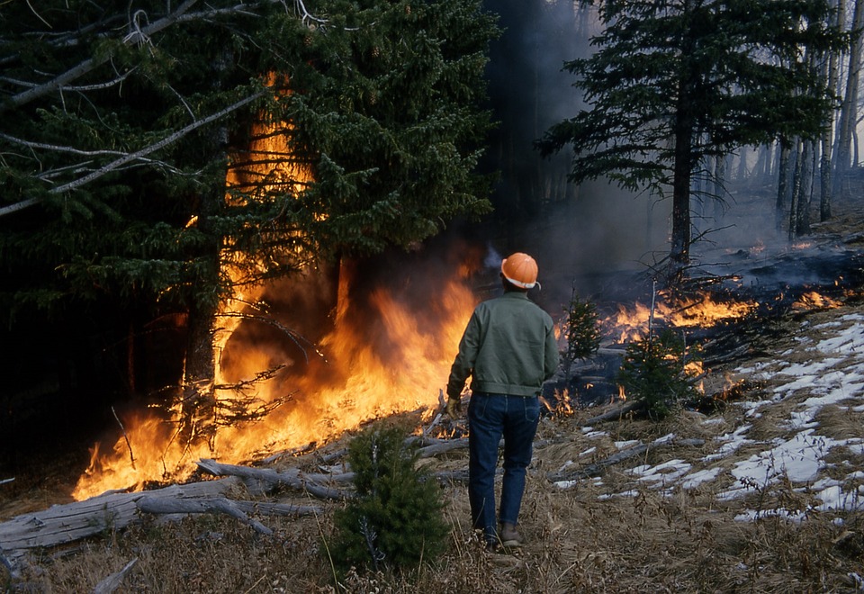 La protezione dagli incendi boschivi
