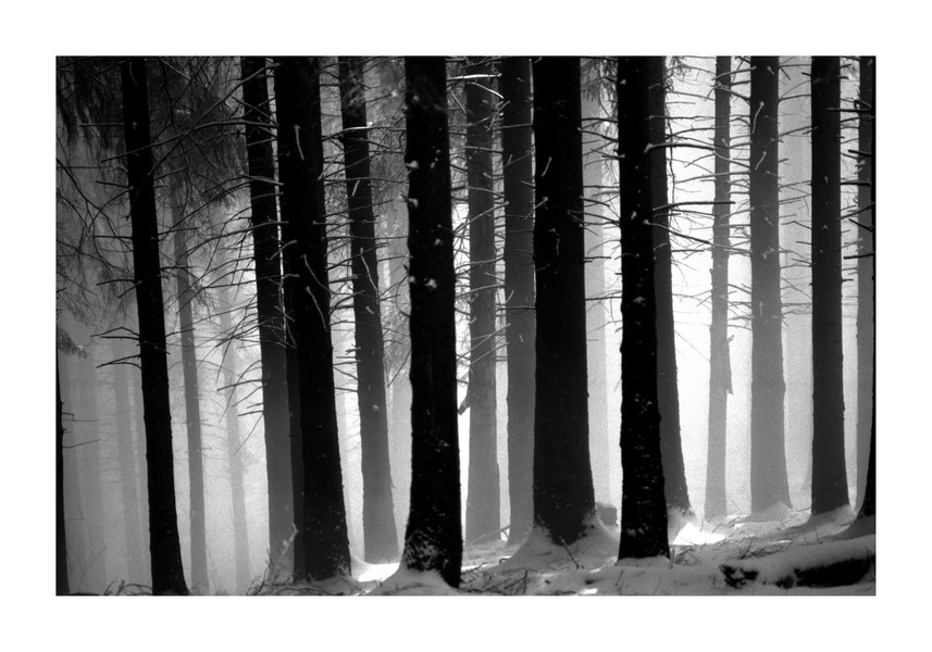 Montagne...in bianco e nero in mostra a Varese