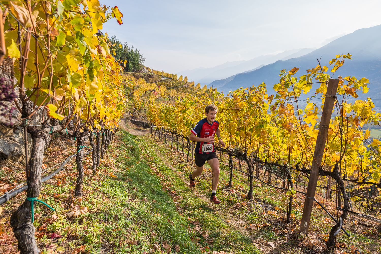 Valtellina wine trail, edizione 2018 by night