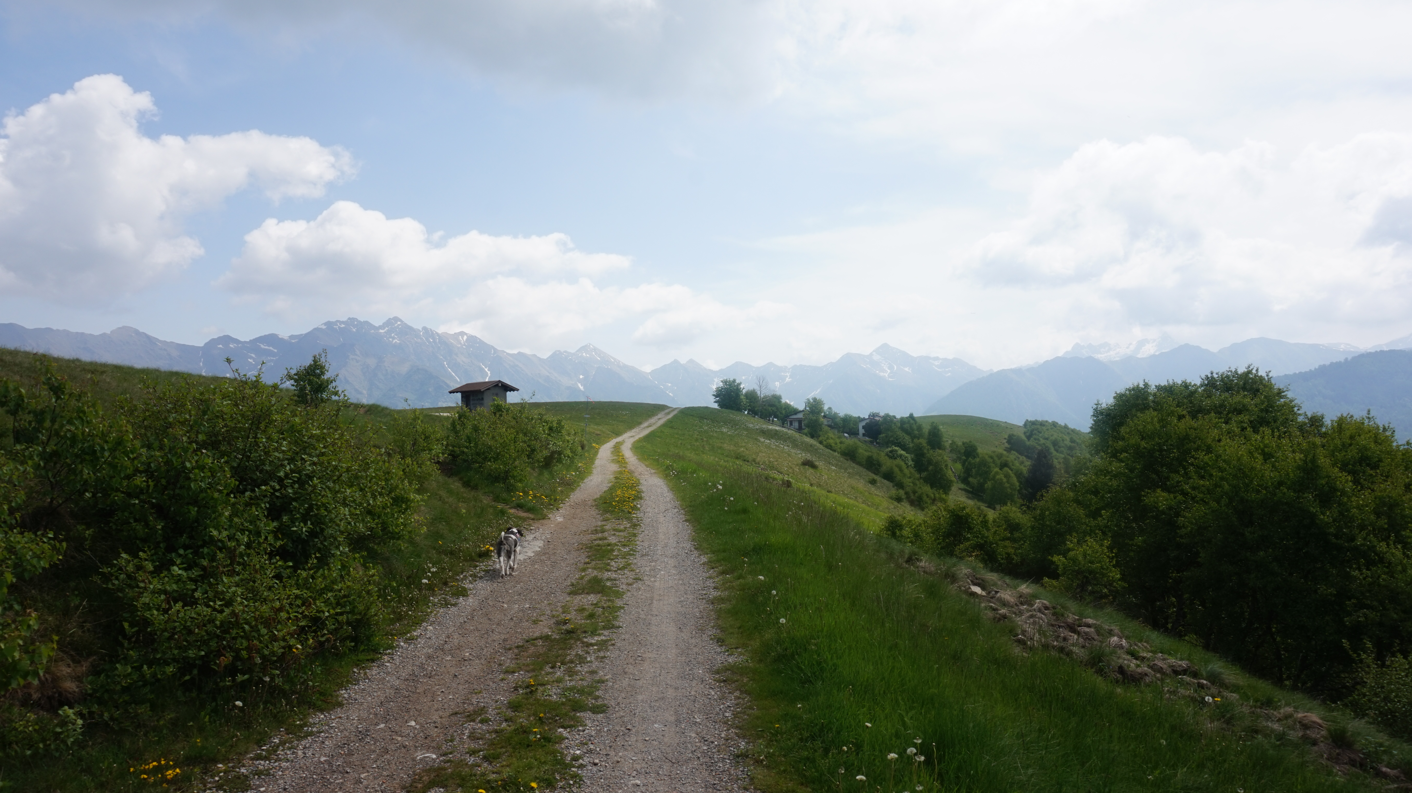 Escursione all'Alpe Giumello
