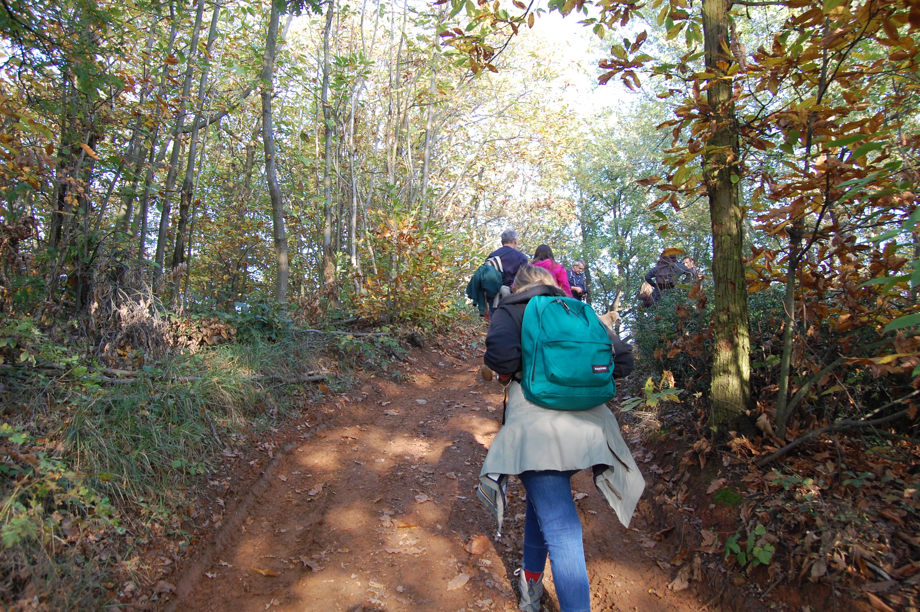 Escursioni tra foliage e zafferano