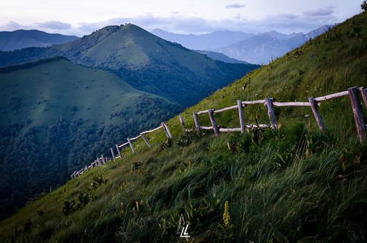 Trail sul monte Bolettone,Muscoli e solidarietà