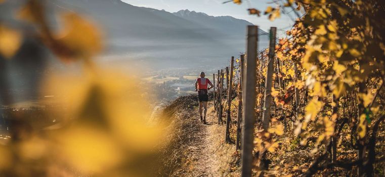 Valtellina Wine Trail