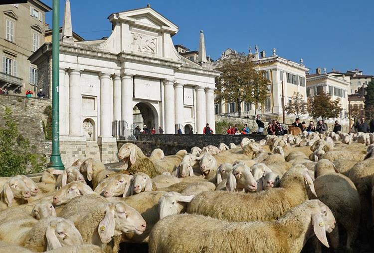Romania protagonista al Festival del pastoralismo