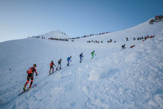 Da 15 nazioni all'Adamello Ski Raid