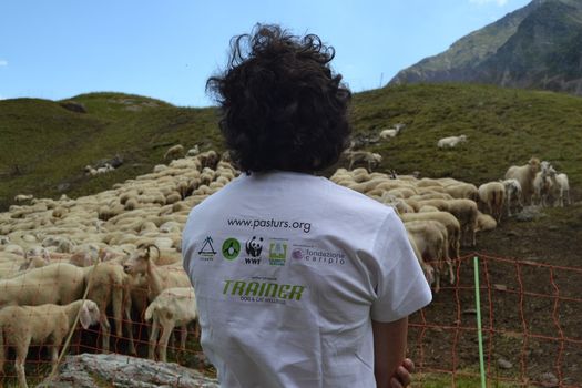Progetto Pasturs, un aiuto alla convivenza tra pastori e grandi predatori