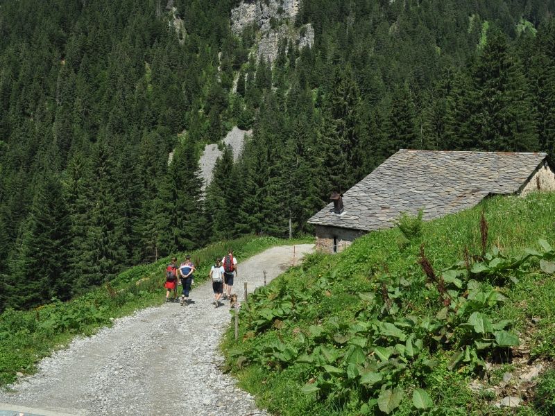 Cheese Trekking in Val Brembana
