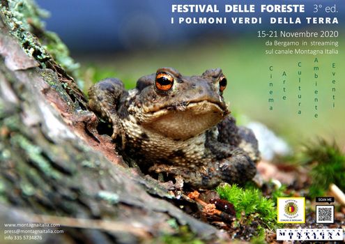 Festival cinematografico delle Foreste