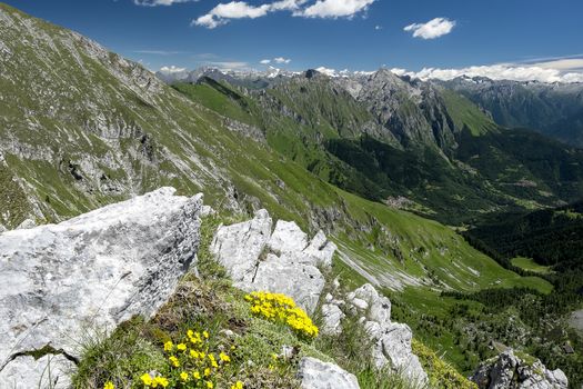 Alvina, il progetto Unimont attraverso le Alpi
