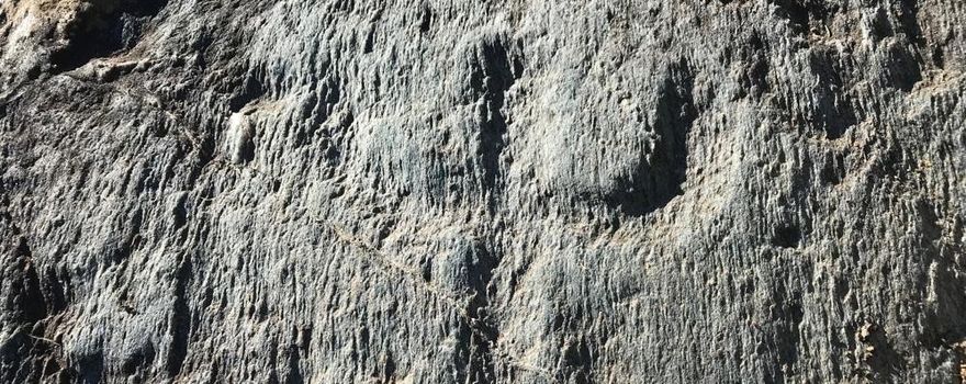 A Castione Andevenno sta nascendo il Parco delle incisioni rupestri