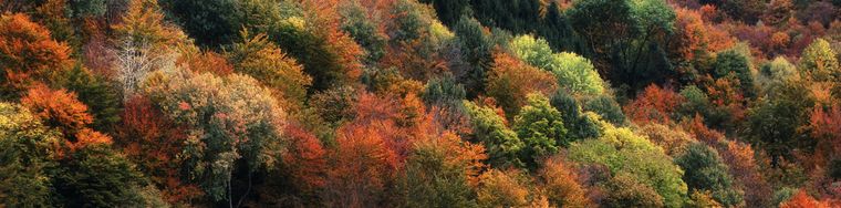 16542_autunno-in-val-dintelvi