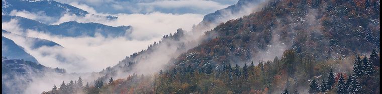 12113_autunno-in-bianco