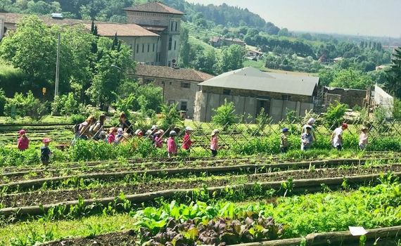 Biodiversità e diritto al cibo nel weekend dell'Orto botanico di Bergamo