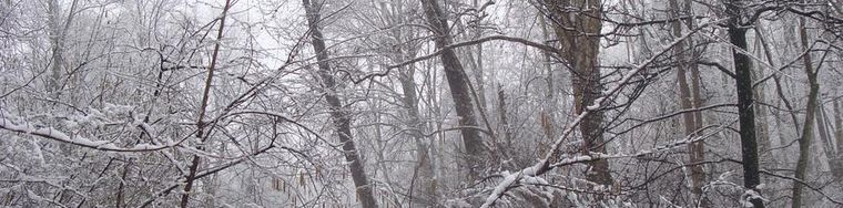 10032_lungo-il-lambro-sotto-la-neve