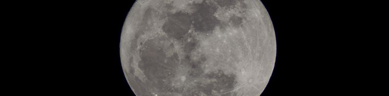 16755_luna-fredda