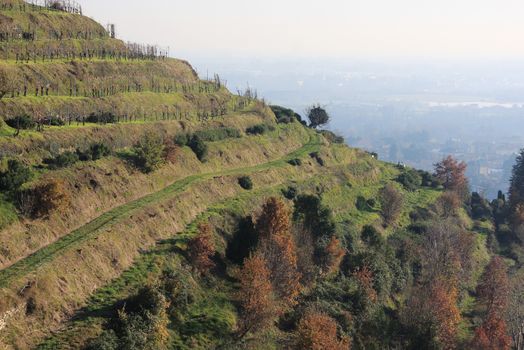Parco del Curone: itinerario ad anello Lomaniga – Montevecchia Alta – Sentiero Del Malveggio – Valle Santa Croce