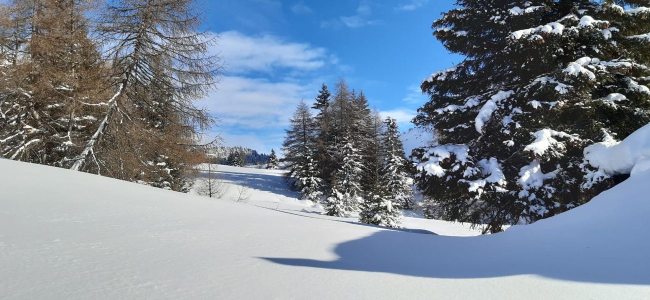 Neve fresca, sentieri e panettone