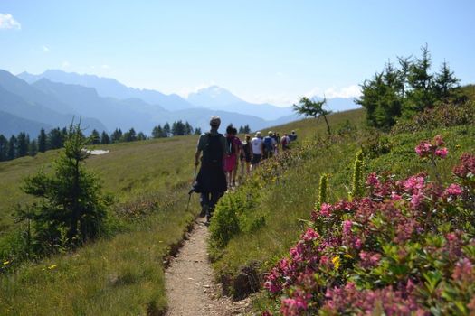 Cheese Trekking in Val Brembana: Natura e Sapori