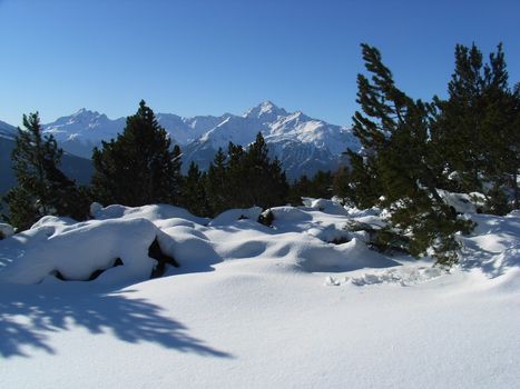 Ciaspole e sci nel Parco nazionale dello Stelvio