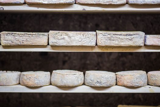 Nasce il brand “Valsassina: la Valle dei formaggi”