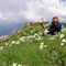 60 Estese fioriture di anemone narcissino in vetta alla Corna Grande.JPG