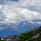 58 Stambecco  _unicorno_ con vista in Alpi Retiche.JPG