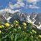 66 Botton d_oro per le Piccole Dolomiti Scalvine !.JPG