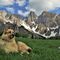 96 Relax ai Campelli con vista sulle PIccole Dolomiti Scalvine.JPG