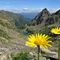30 Valle di Trona, bellissimi fiori gialli con vista sui Lghi di Trona e Zancone.JPG