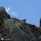 54 Sentinelle rampanti sulle rocce del Pizzo Paradiso.JPG