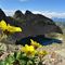 79 Bellissimi fiori gialli per il Lago Rotondo di Trona.JPG