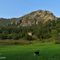 78 Grande bella radura prativa con vista sulla cima rocciosa del Pizzo di Spino versante sud.JPG