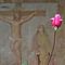 98 Alla contrada Acquada rosa al rustico affresco della crocifissione su  parete di casa contadina.JPG
