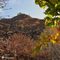 23 Vista verso la croce di vetta del Monte Gioco tra i colori dell_autunno.JPG