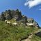 66 La cima del Ponteranica centr. con pecore al pascolo _2372 m_.JPG