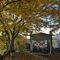 48 Cappella con il tetto a forma di foglia all_ombra di faggi colorati d_autunno .JPG