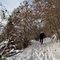 12 Tratto di sentiero nel bosco  pestando neve.JPG