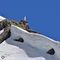 06 La Madonnina del GEM spunta dalle cornici di neve sulla cima del Pietra Quadra _2356 m_.JPG
