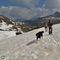27 Proseguiamo per scendere ai Laghi Gemelli in compagnia di escursionista col bel cane nero Scintilla.JPG