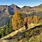 21 In decisa_ripida salita dalla Baita Nuova _1759 m_  alla cima del Monte Arete _2227 m_ tra larici colorati d_autunno .JPG
