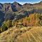 22 In decisa_ripida salita per la cima del Monte Arete _2227 m_ tra larici colorati d_autunno .JPG