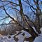 37 Pestando soffice neve dal Buco della Carolina al Monte Poieto sul sent. 537.JPG