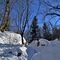 36 Pestando soffice neve dal Buco della Carolina al Monte Poieto sul sent. 537.JPG