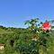 10 Da Botta alta di Sedrina bella vista sulla verde collina dirimpettaia.JPG