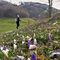 08 Primavera sui prati del Crosnello _1094 m_ con fioriture di Crocus vernus.JPG