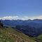 13 Pulsatilla alpina sulphurea _Anemone sulfureo_ con vista panoramica sui Piani dell_Avaro ed oltre.jpg