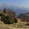 70 In salita dal Rif. I Lupi alla Cappelletta di vetta del Pizzo Cerro _1285 m_.jpg