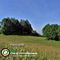 09 La verde ampia radura prativa del Crosnello _1094 m_.jpg