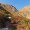 12 Sul Sentiero dei vitelli_108A caldi colori d_autunno .JPG