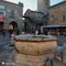 43 Piazza Vecchia con la fontana del Contarini , Palazzo della Ragione e Torre Civica.JPG
